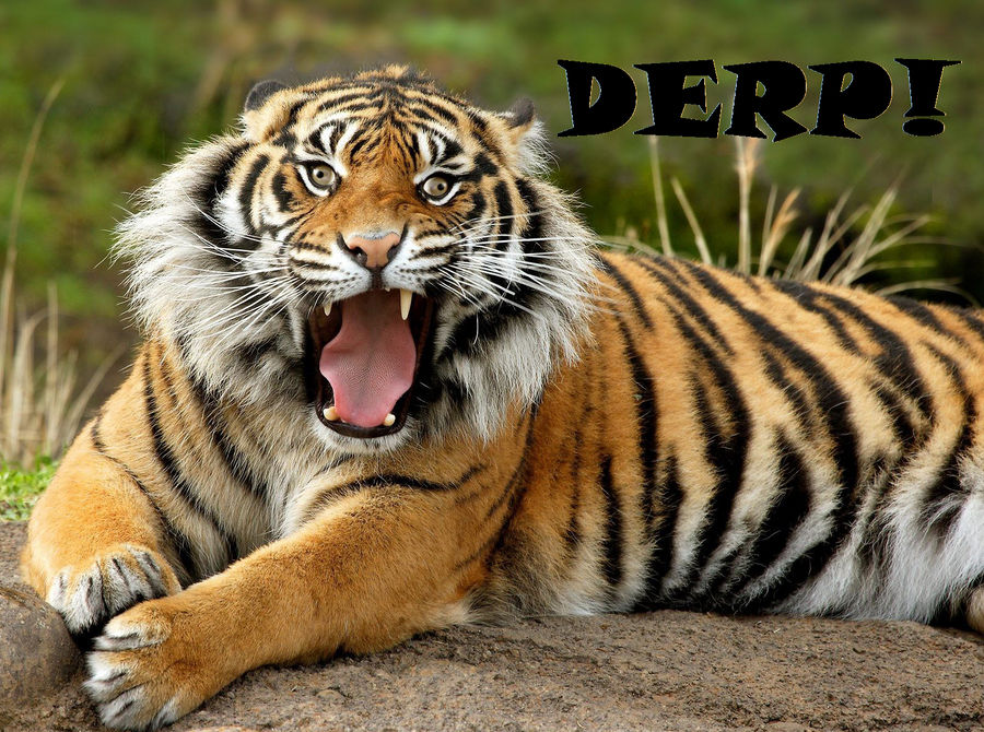 Python Derp Derp! by AlienCostume on DeviantArt