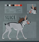 Slice 2015 by AcidNeku