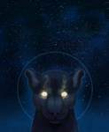 Eyes of the Night by AcidNeku