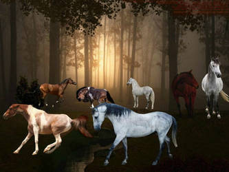 Horse photomanipulation