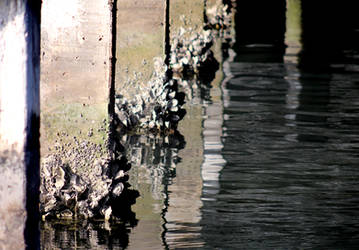 Under the Bridge