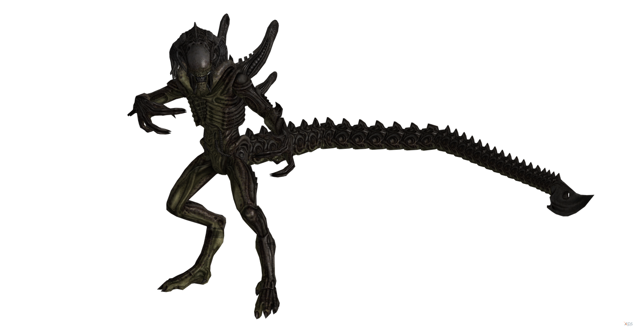ALIENS VS. PREDATOR 2010: PREDALIEN XPS XNALARA by GustavoPredador on ...