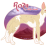 Rozii the Ibizan Hound