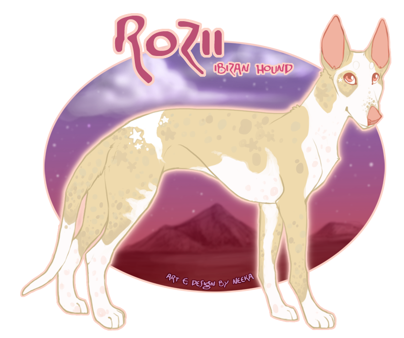 Rozii the Ibizan Hound