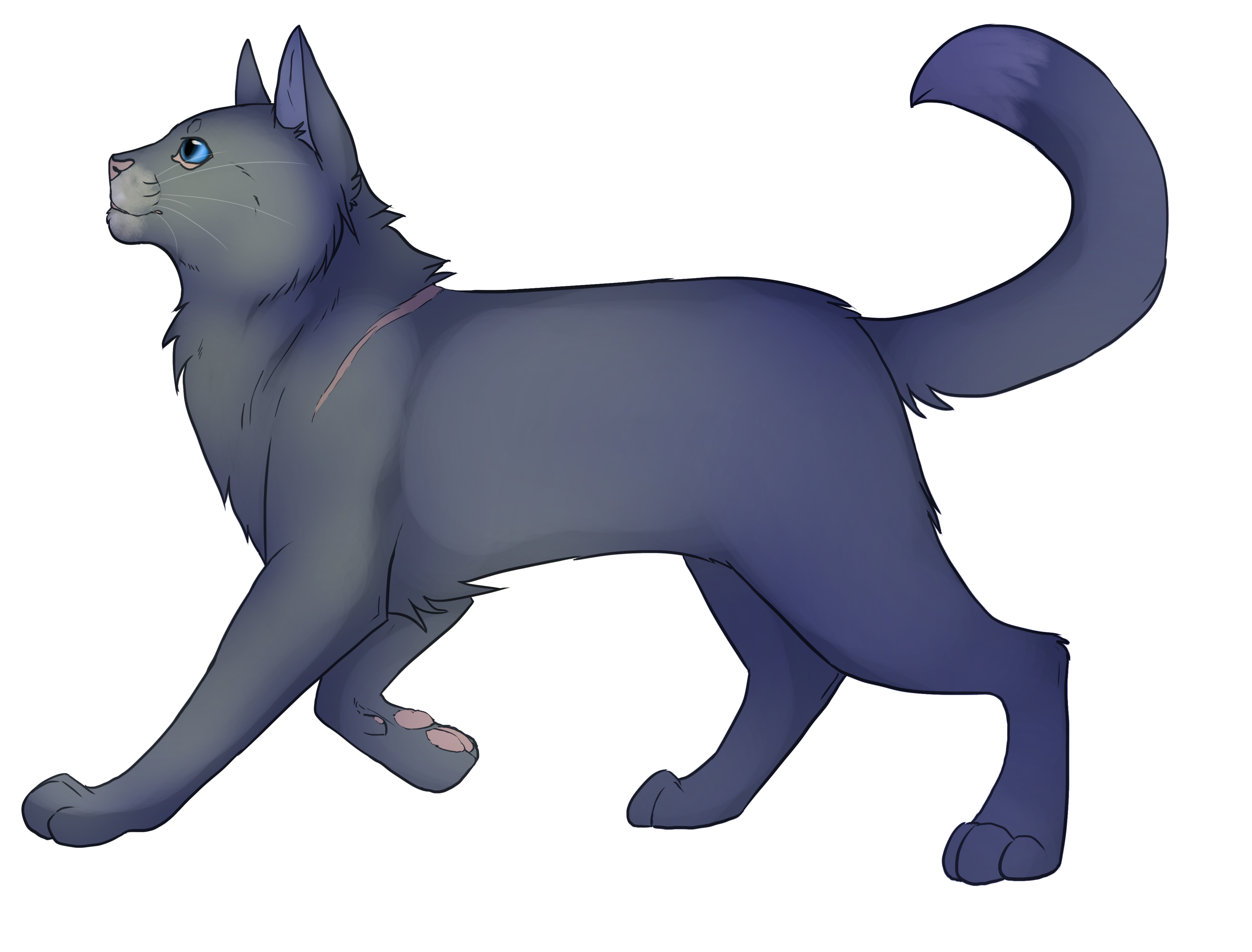 Bluestar