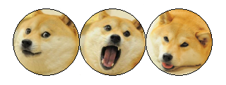 doge page divider