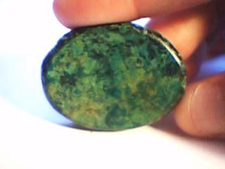 Rain Forest Jasper