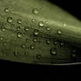 Droplets