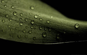 Droplets