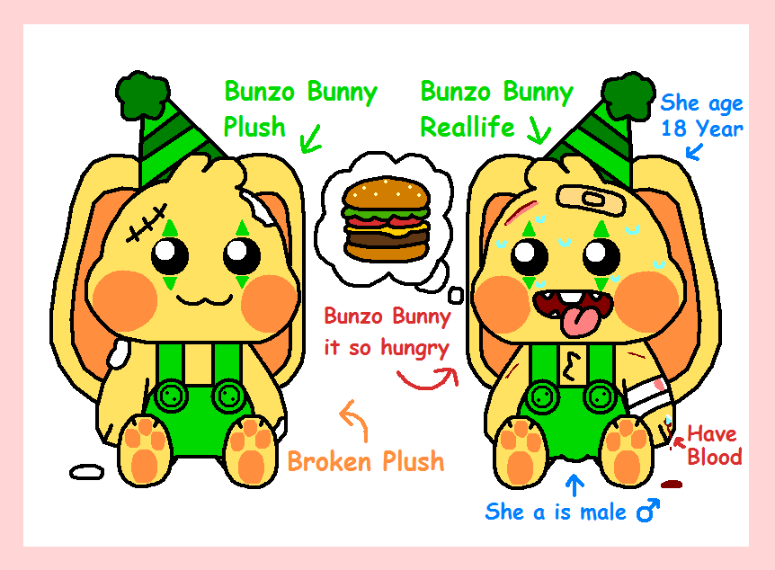 Bunzo Bunny Plush and Bunzo Bunny Reallife by Cuddlesnam on DeviantArt