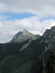 GIEWONT