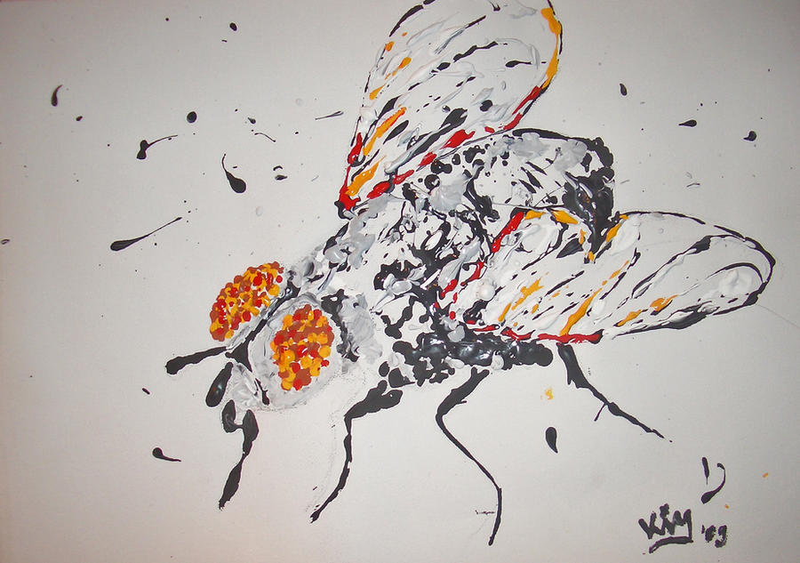 Deviantart Compostfly dropped fly by Sense-Seedling on DeviantArt
