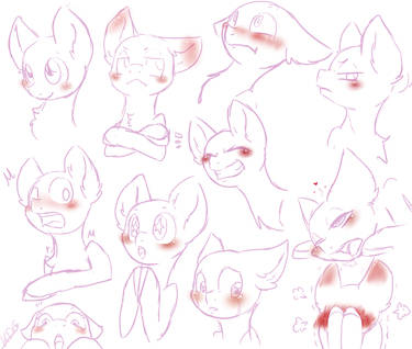 Pony Study 14