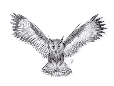 Flying-Cryptid by ancient-mysteries on DeviantArt