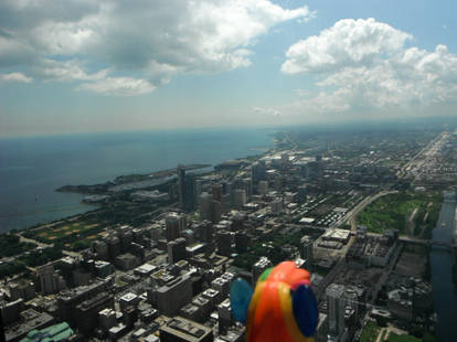 PATW 2014 - Skydeck South View