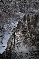 winter reflection