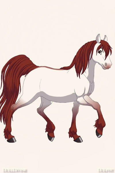 Horse Adoptable 8