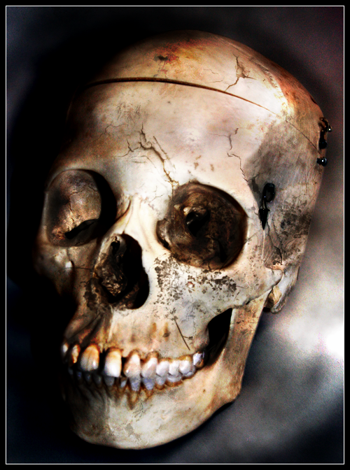 Decayed Skull