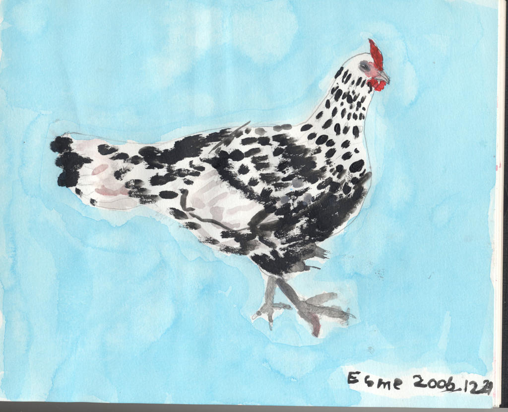 Chicken