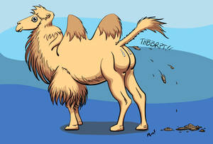 My Cute Crapping Camel