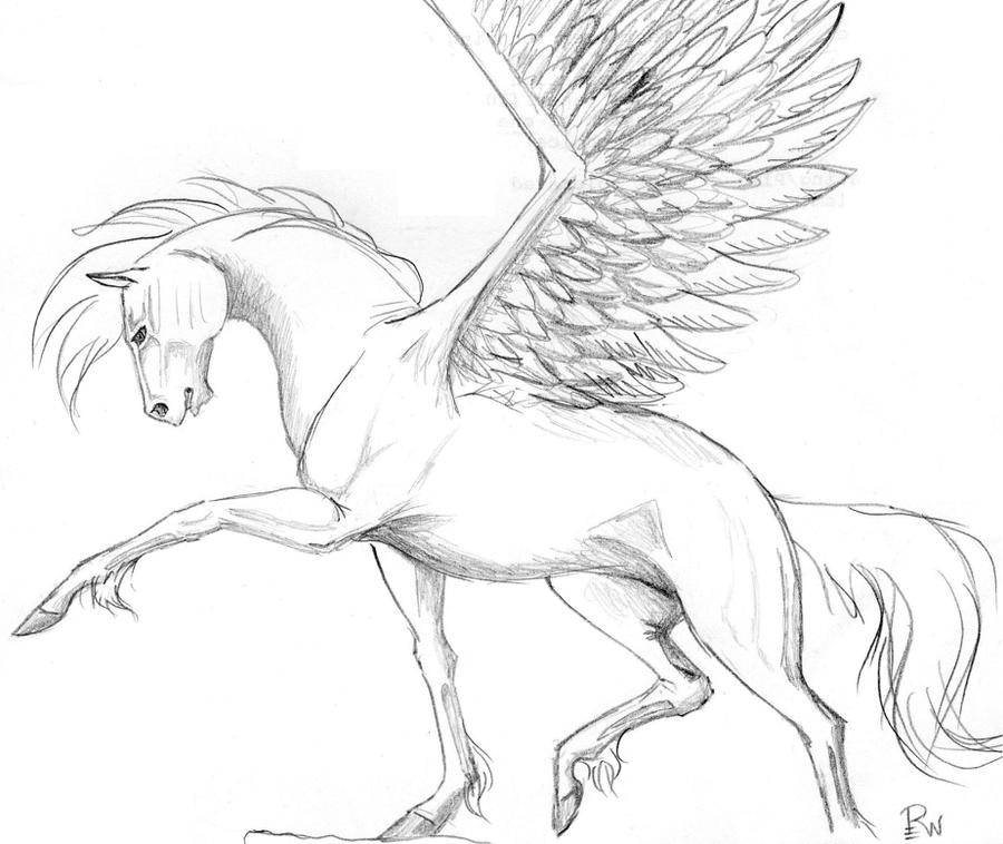 Pegasus by HouseofMartin on DeviantArt