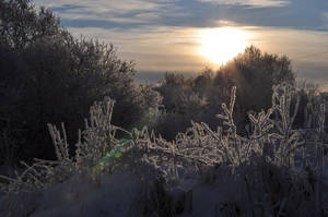 evening in Zubtsov