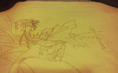 dragon #5