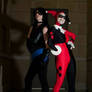 Unimpressed : Harley Quinn and Fem!Nightwing