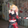 Bat-Sh*t Crazy : Arkham City : Harley Quinn
