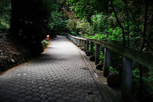 Japanese,zen like path