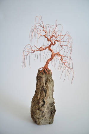 Wire tree by NoriAnum Wire tree by NoriAnum