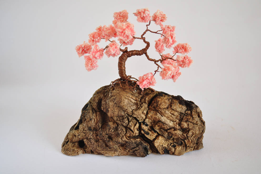 Sakura Bonsai Tree by NoriAnum