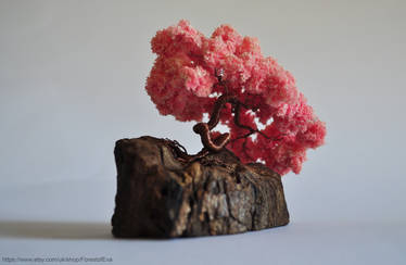 Pink Sakura Bonsai