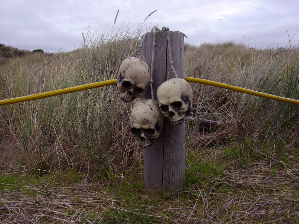 skulls on a post 01