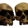 Skulls In A Row - pre-cut png
