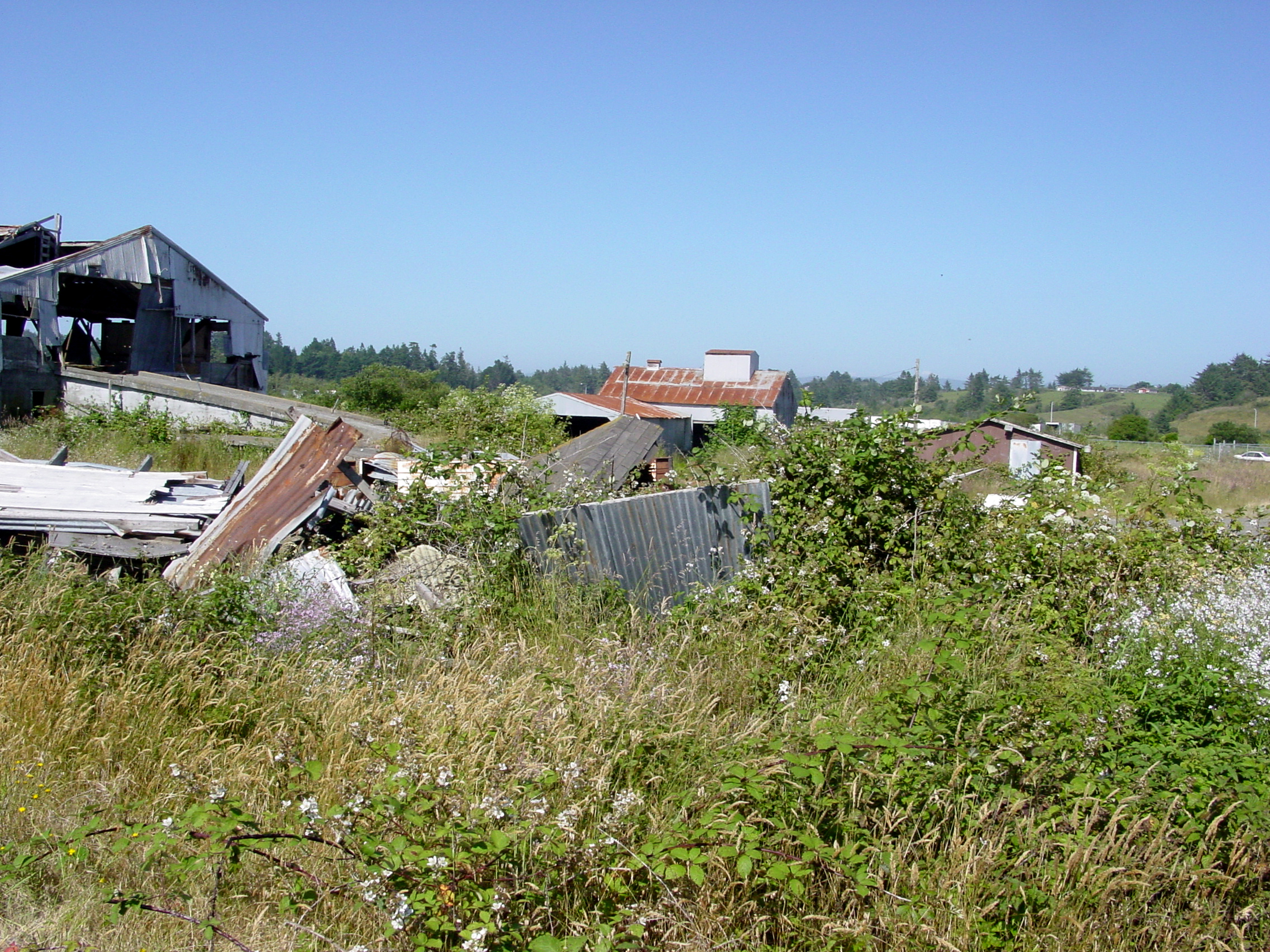 Abandoned Slaughter House 04