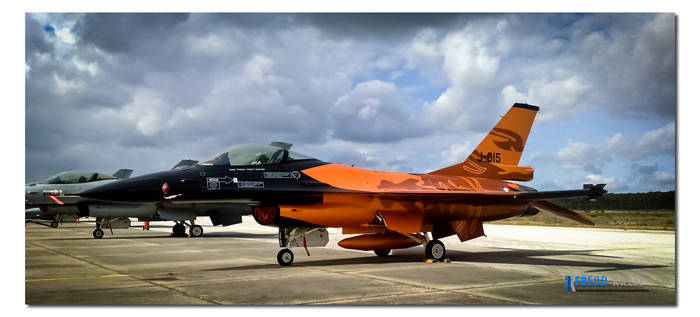 Demo Team F-16 Parked