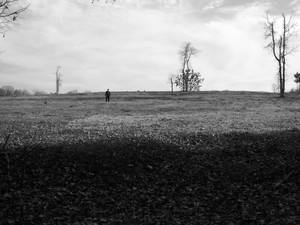 Distant Feild, Deep Sky