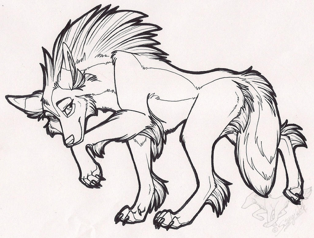 Shy Feral Tala by StangWolf