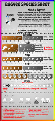 Bugvee Species Sheet (Official)