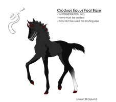 Croduos Equus Foal Design