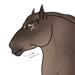 Resident of the Month: Rhith