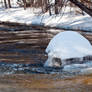 The Rock today in the winter!