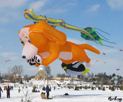 Kite festival of St-Placide