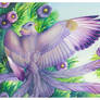 Birdflowers: Aster - September
