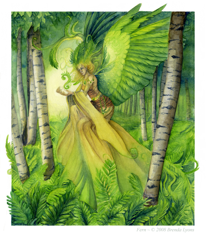 Fern by windfalcon