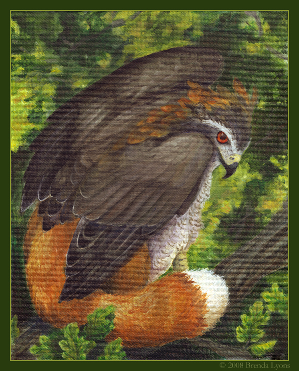 Red-Crested Gosfox Gryphon