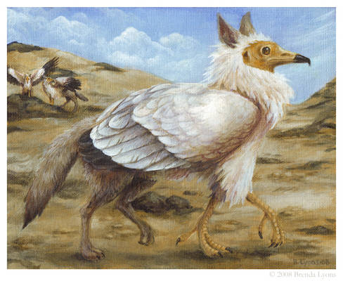 Desert Scavenging Gryphon