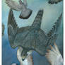 Peregrine Falcon - Study