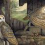 Thesis - Barn Owls